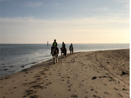 Bournemouth Beach Ride